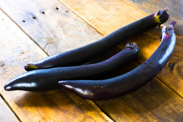 ナス｜夢大地館