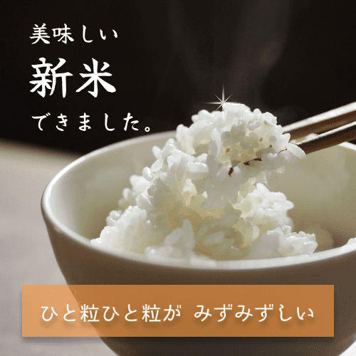 令和４年度産の新米が入荷しています！｜夢大地館